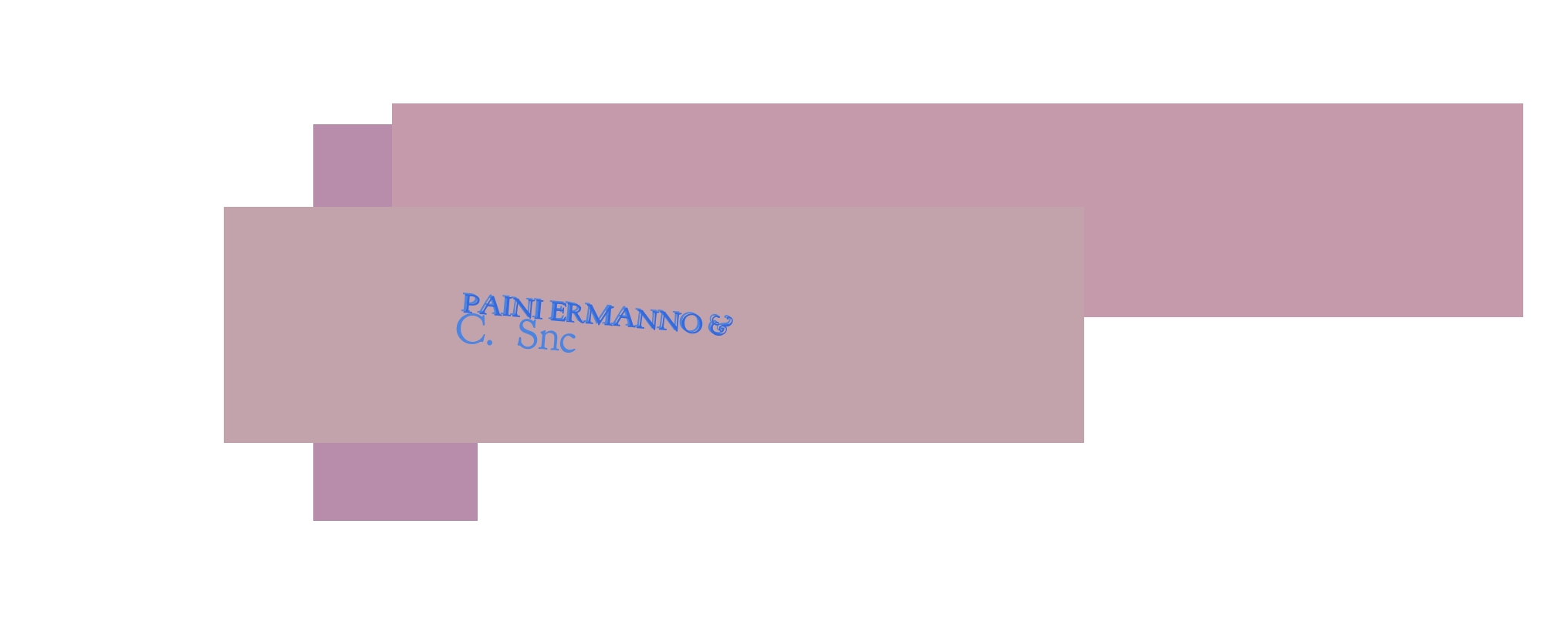 logo Paini Ermanno & C. Snc
