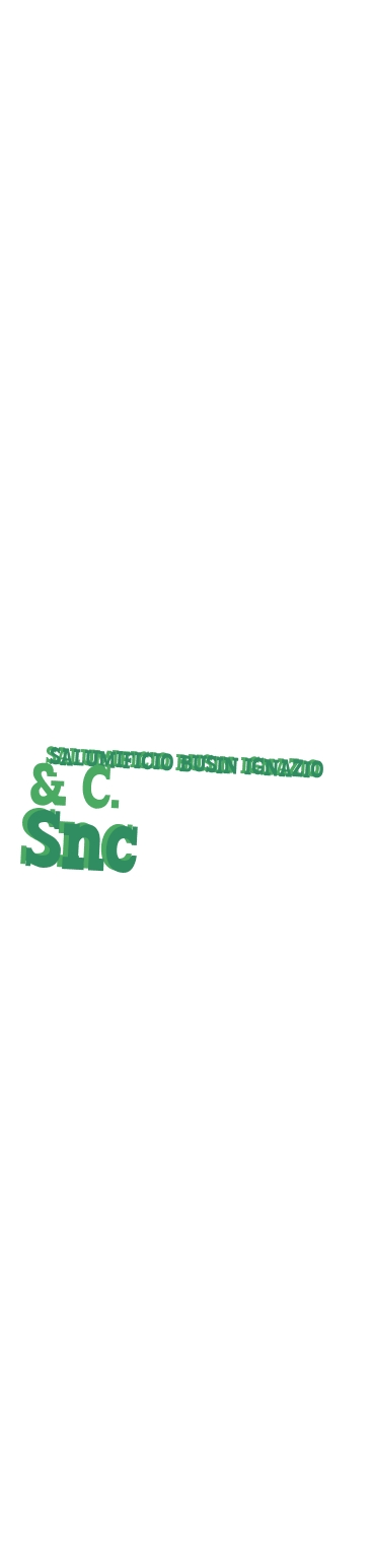 logo Salumificio Busin Ignazio & C. Snc