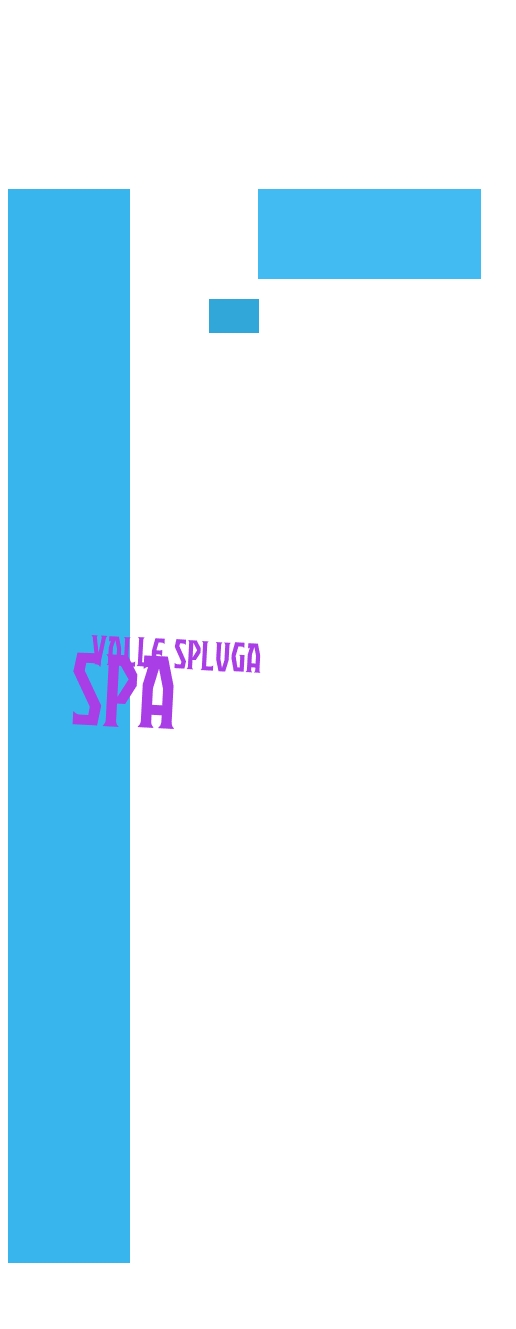 logo Valle Spluga SpA