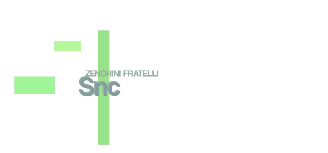 logo Zenorini Fratelli Snc