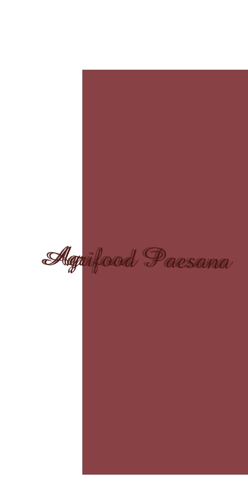 logo Agrifood Paesana