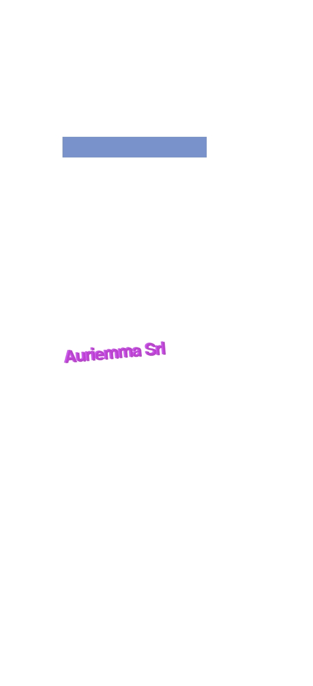 logo Auriemma Srl
