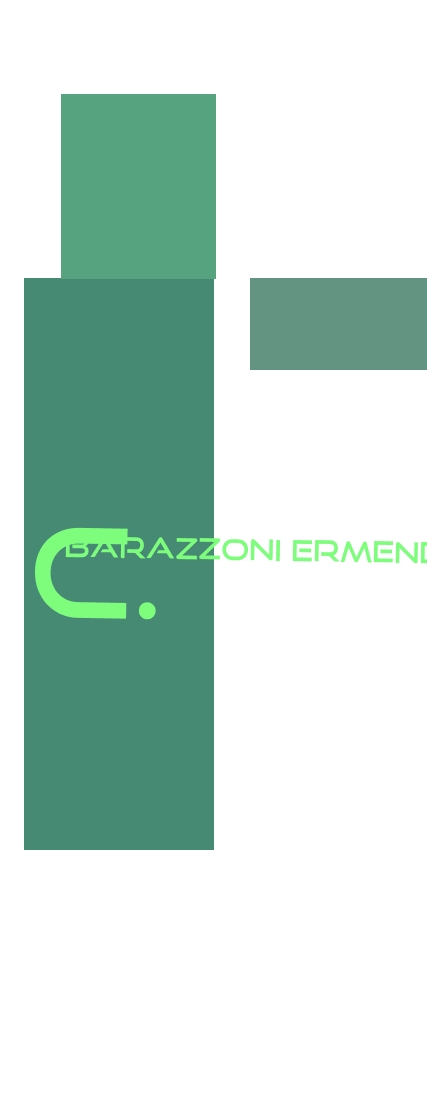 logo Barazzoni Ermenegildo & C.