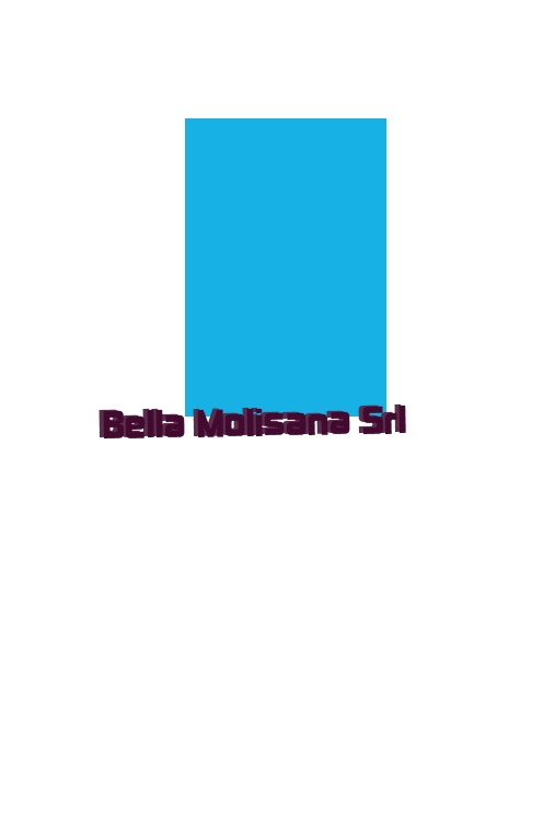 logo Bella Molisana Srl