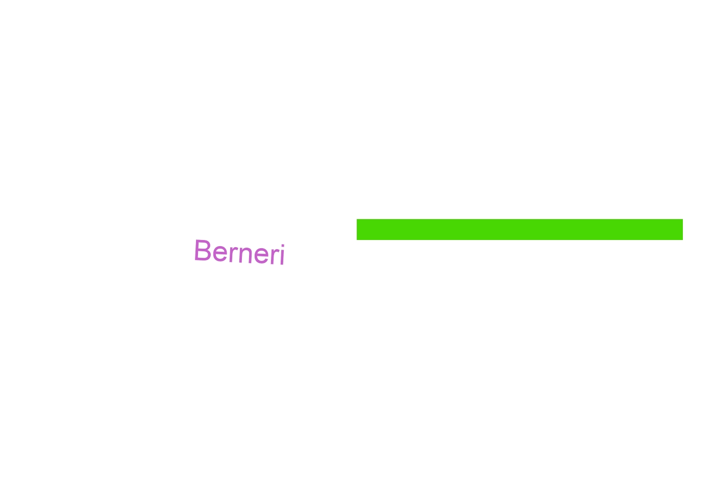 logo Berneri