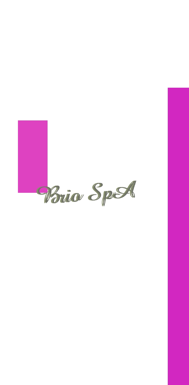 logo Brio SpA