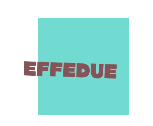 logo Effedue