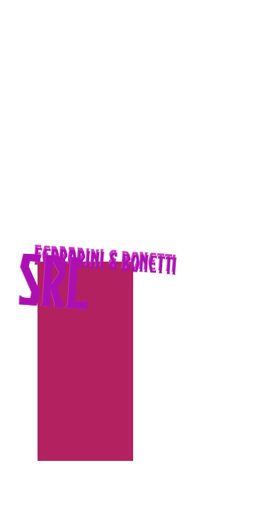 logo Ferrarini & Bonetti Srl
