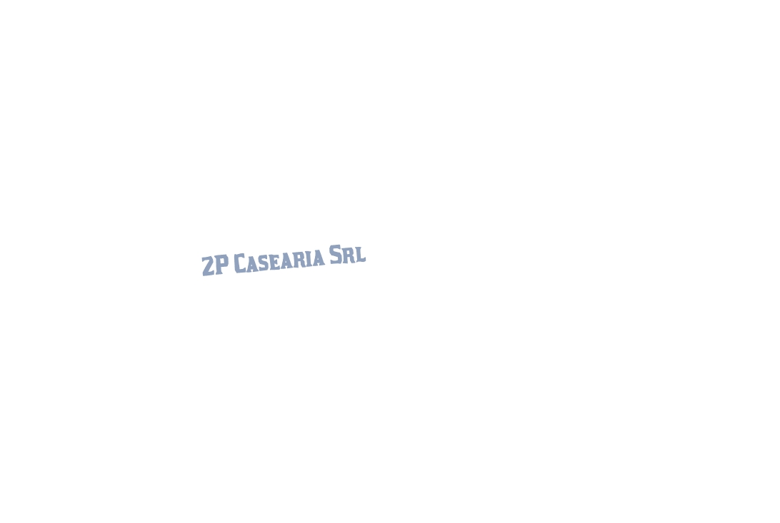 logo 2P Casearia Srl