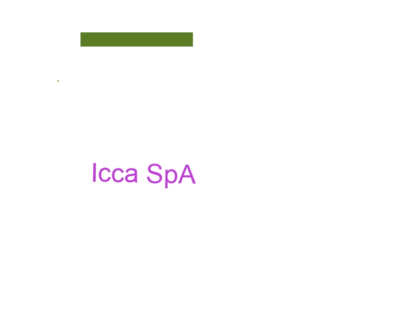 logo Icca SpA
