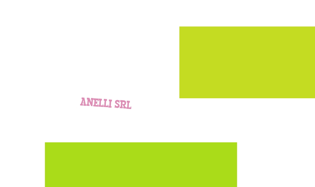 logo Anelli Srl