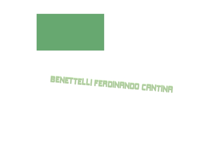 logo Benettelli Ferdinando Cantina