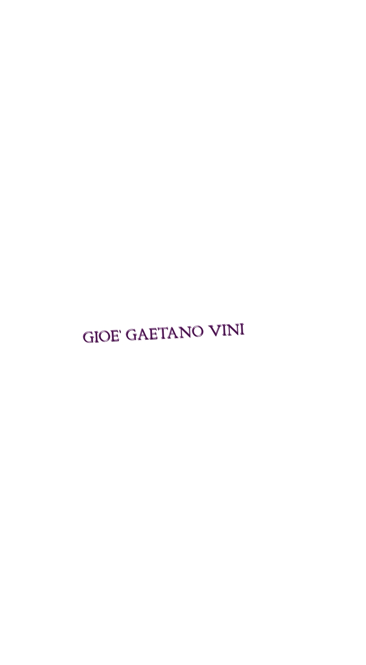 logo Gioe‘ Gaetano Vini
