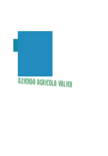 logo Azienda Agricola Valier
