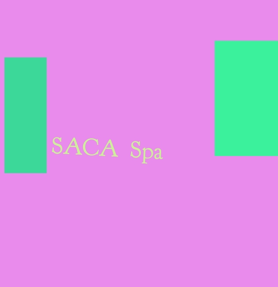 logo Saca SpA