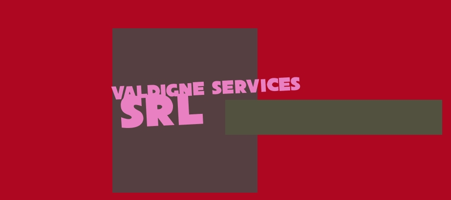 logo Valdigne Services Srl