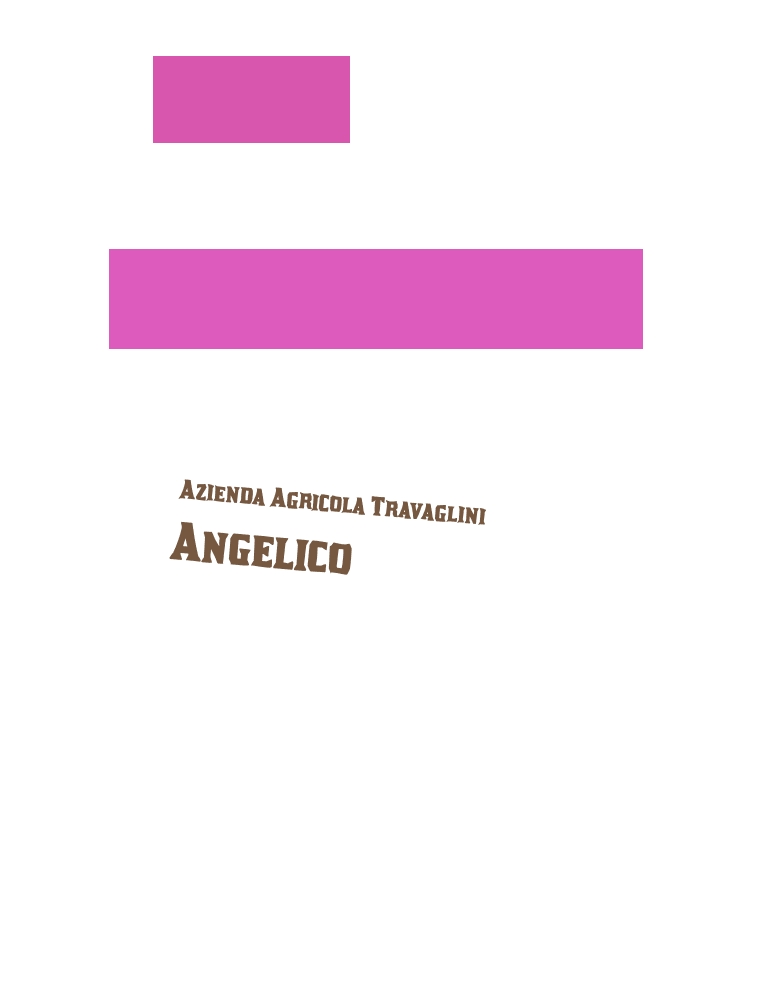 logo Azienda Agricola Travaglini Angelico