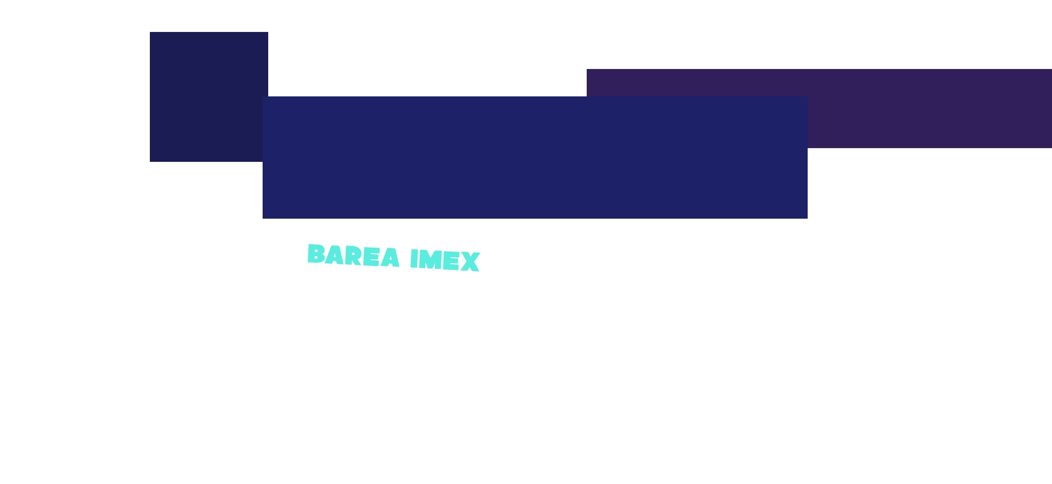 logo Barea Imex
