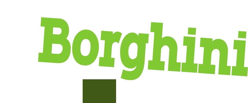 logo Borghini