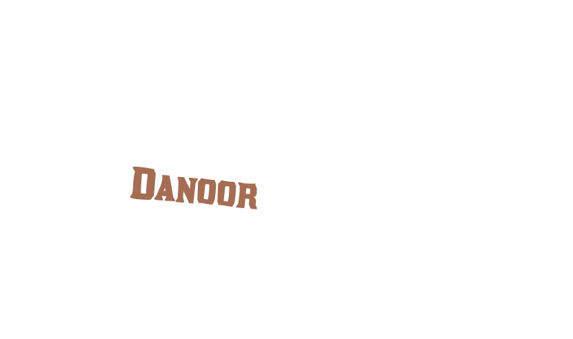 logo Danoor