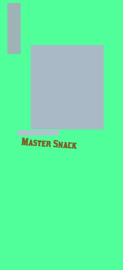logo Master Snack