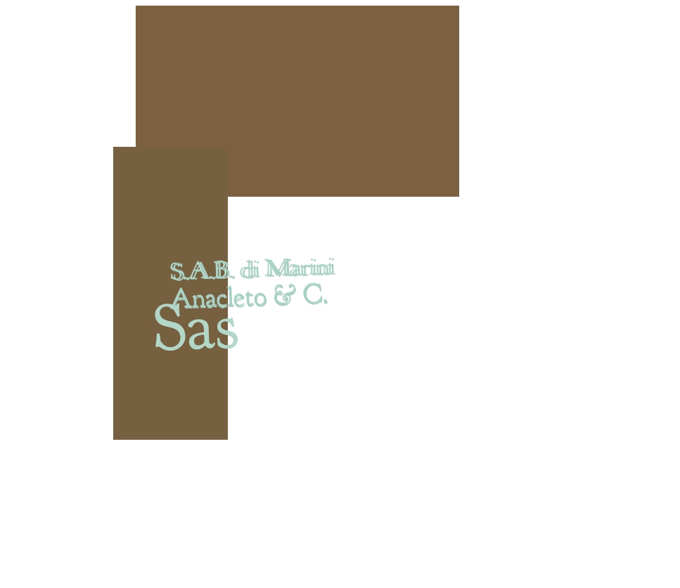 logo S.A.B. di Marini Anacleto & C. Sas