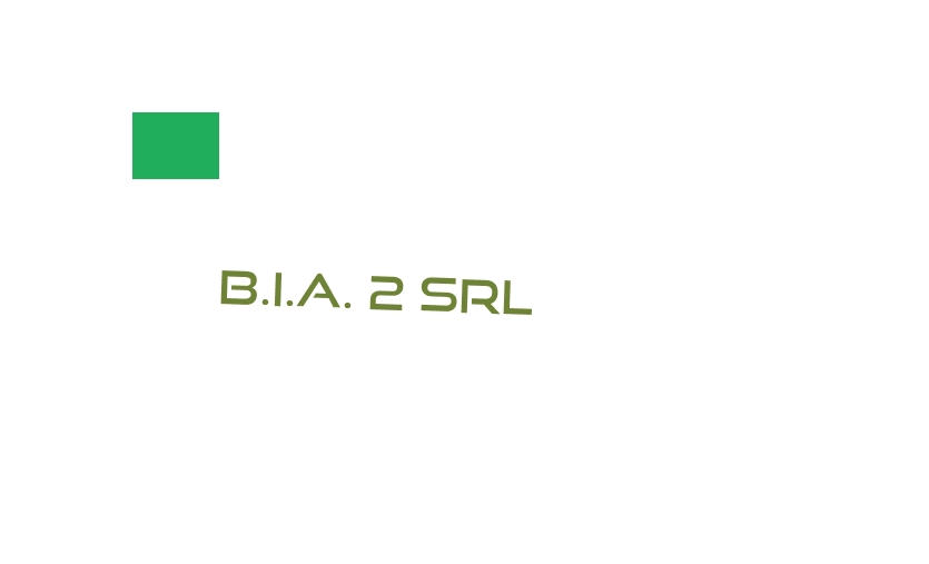 logo B.I.A. 2 Srl