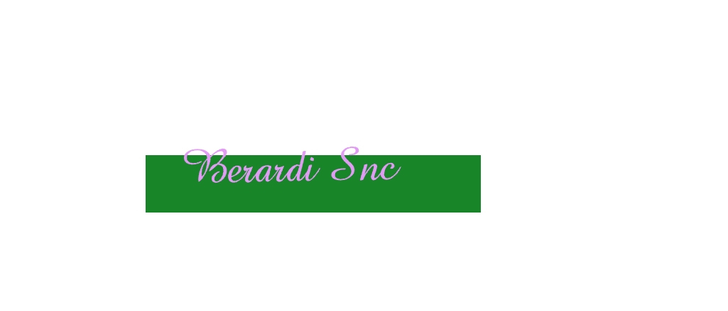 logo Berardi Snc