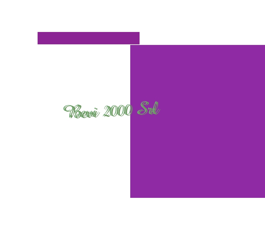 logo Bevi 2000 Srl