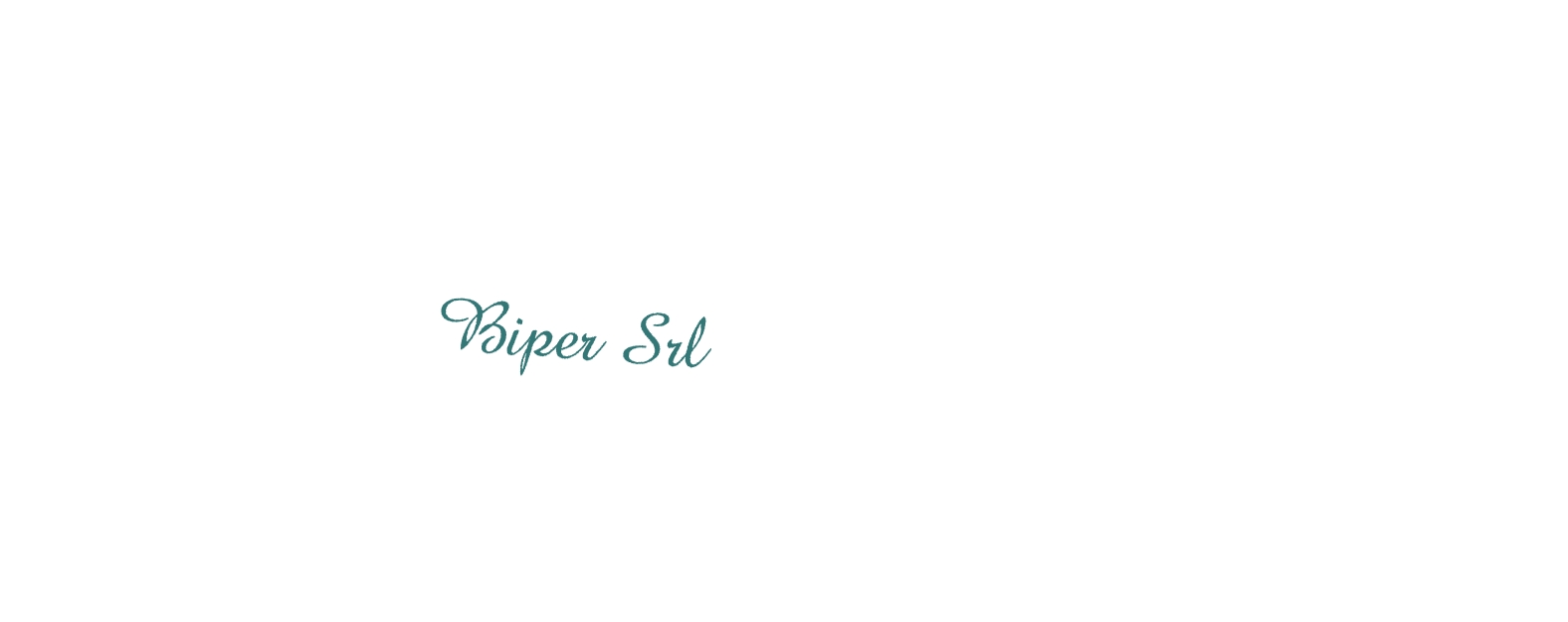 logo Biper Srl