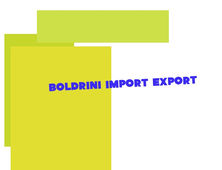 logo Boldrini Import Export