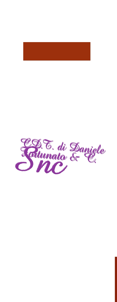logo C.D.T. di Daniele Fortunato & C. Snc