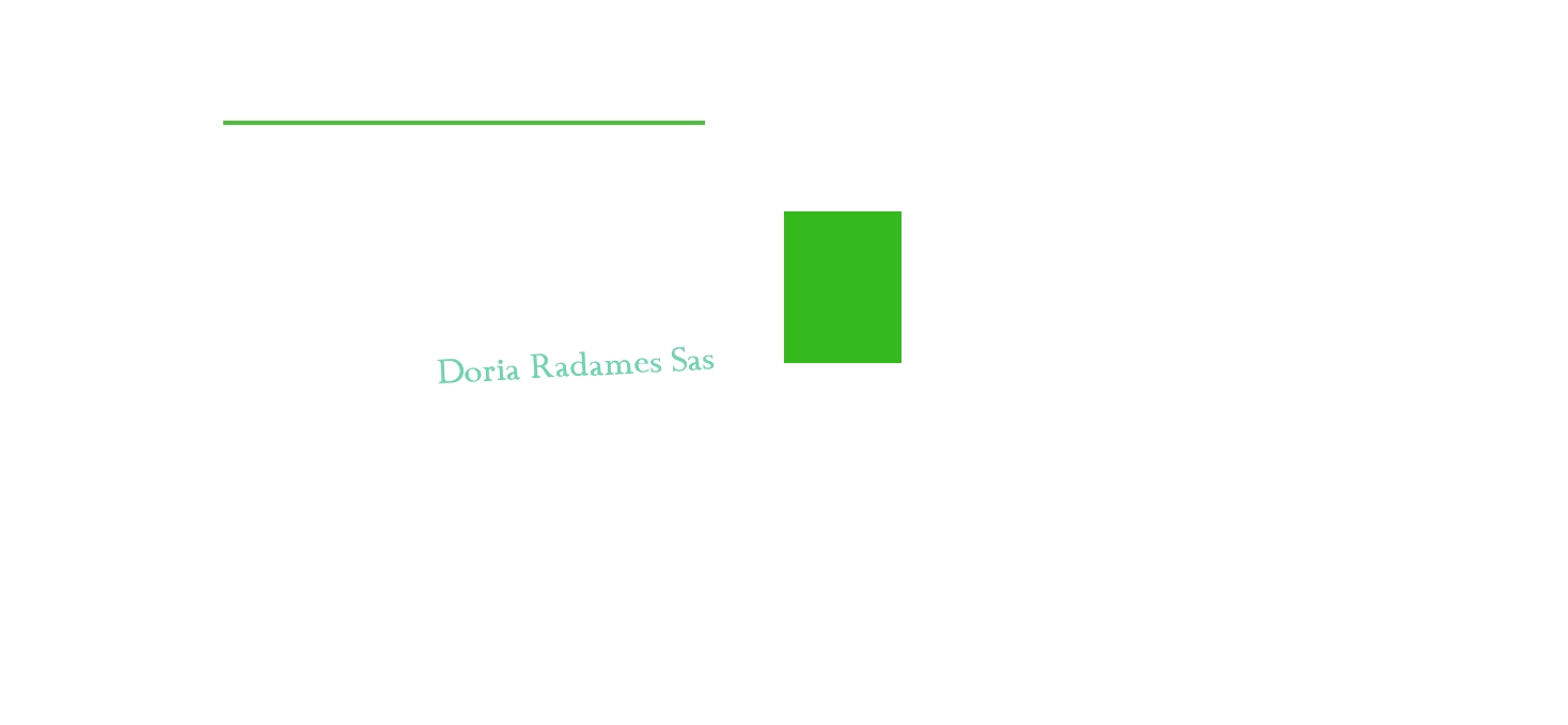 logo Doria Radames Sas