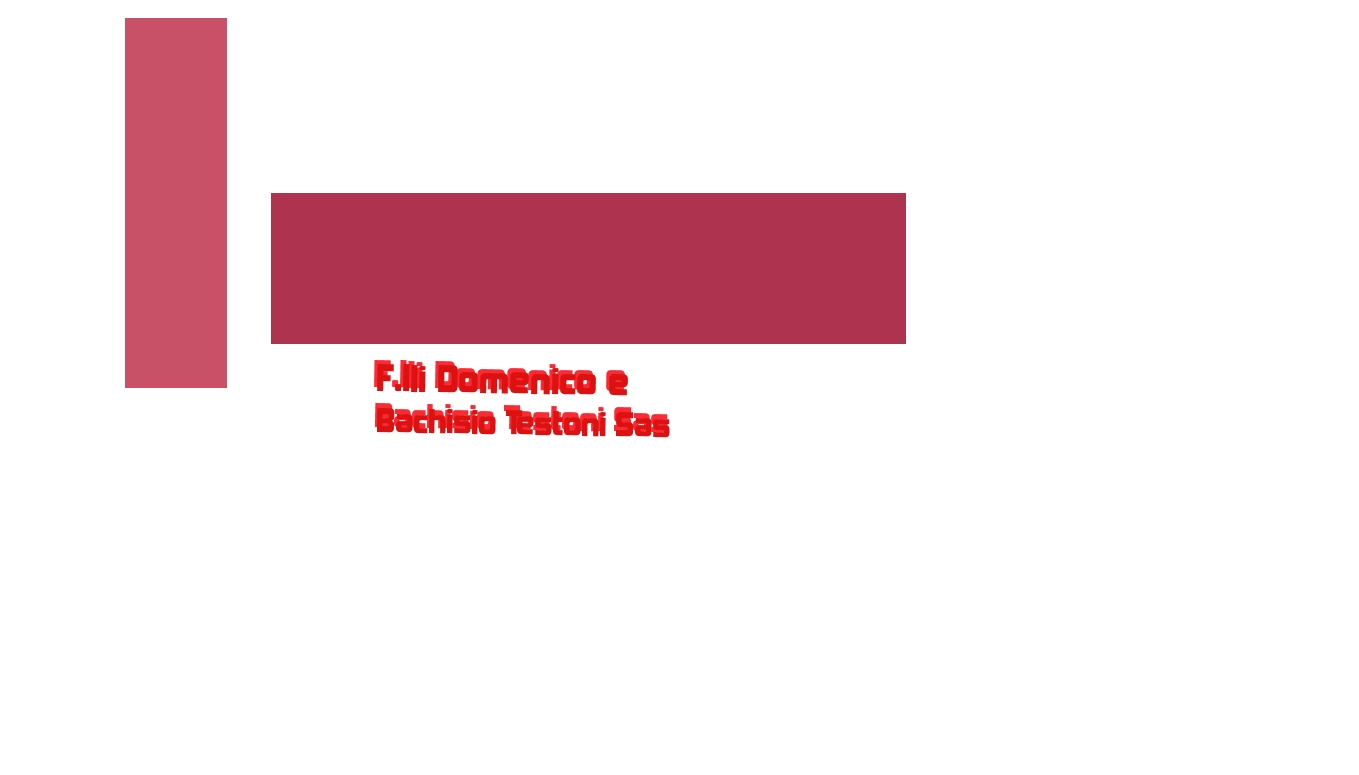 logo F.lli Domenico e Bachisio Testoni Sas
