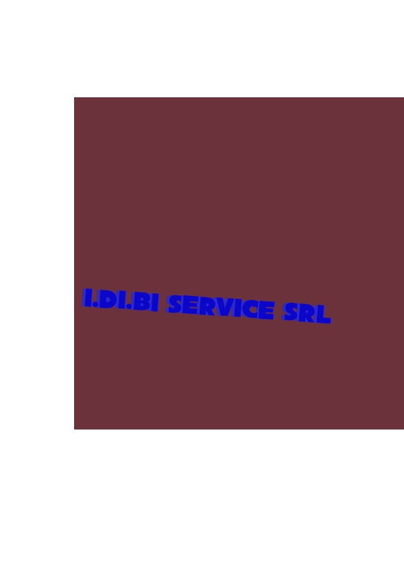 logo I.Di.Bi Service Srl