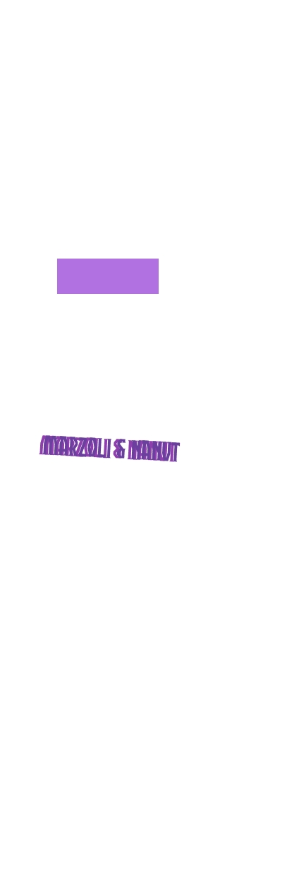 logo Marzoli & Nanut
