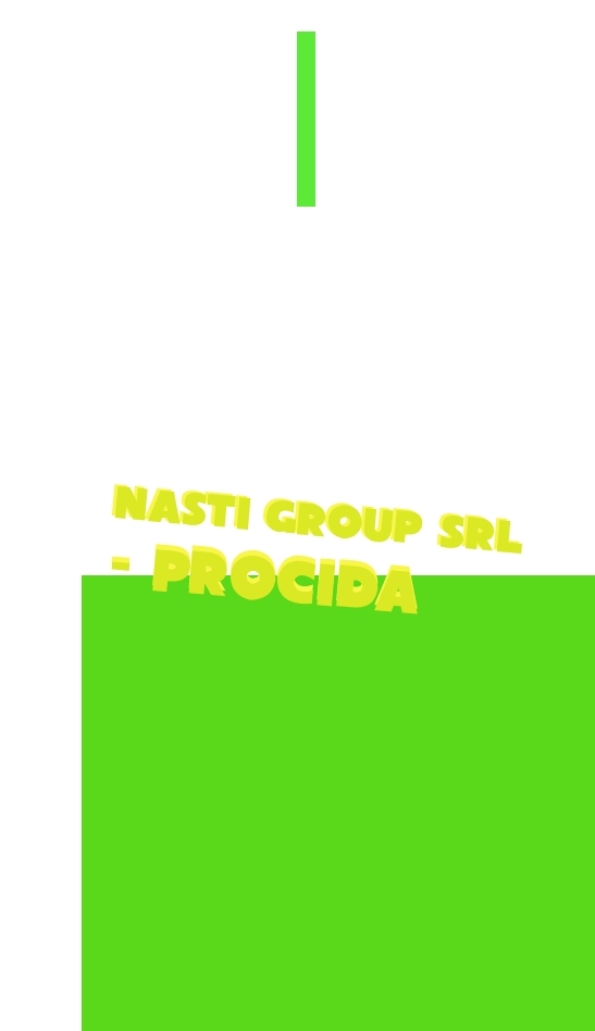 logo Nasti Group Srl - Procida