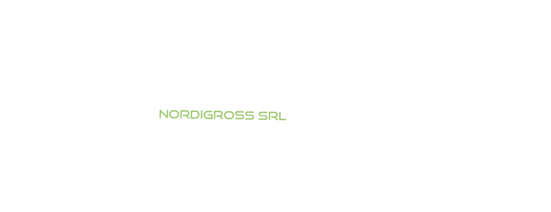logo Nordigross Srl