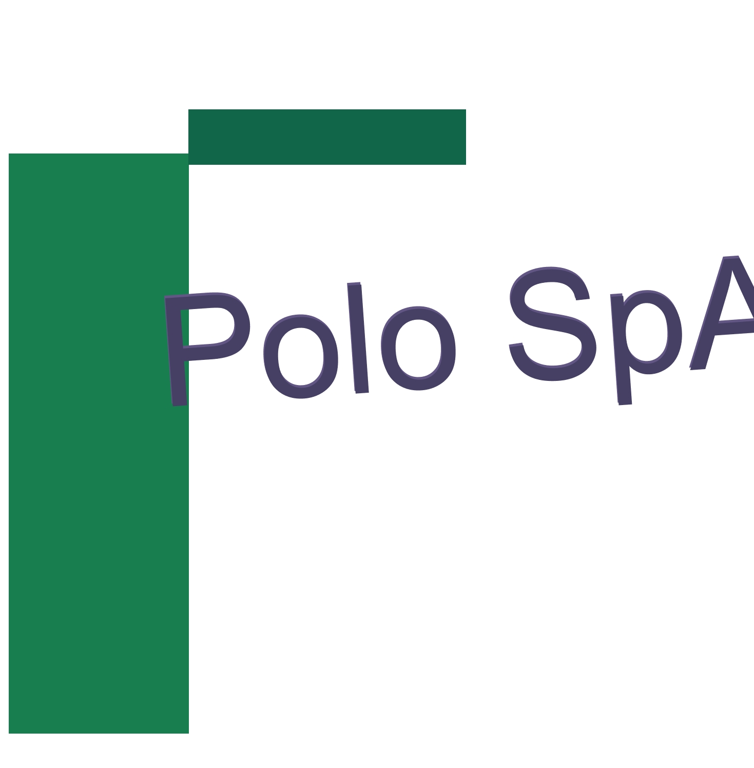 logo Polo SpA