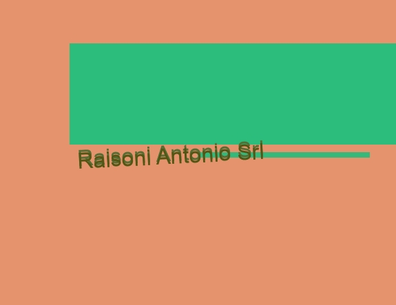 logo Raisoni Antonio Srl