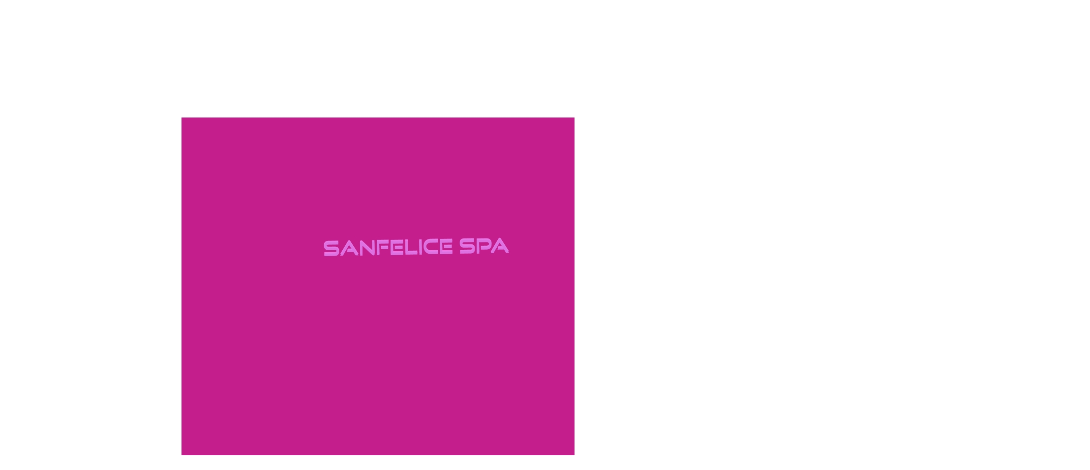 logo Sanfelice Spa