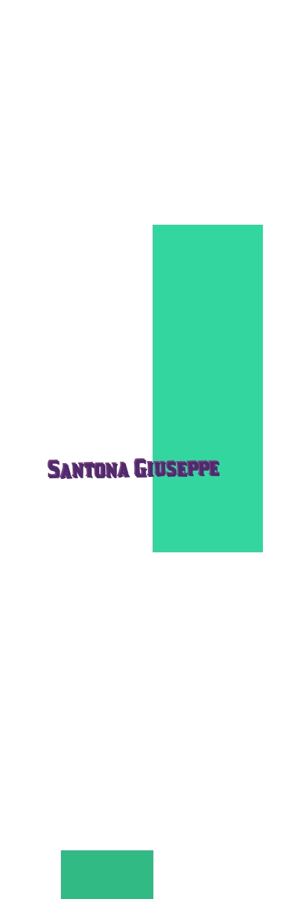 logo Santona Giuseppe