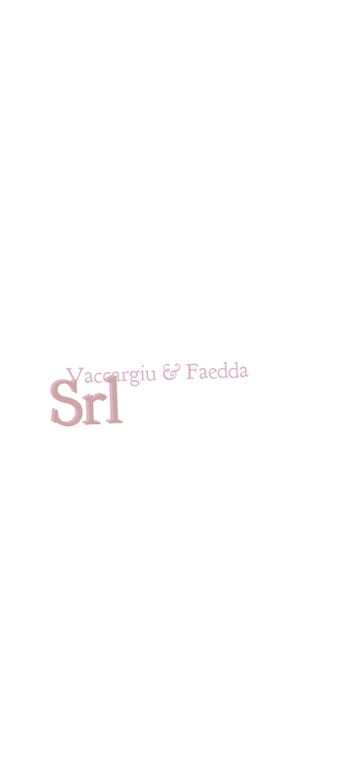 logo Vaccargiu & Faedda Srl