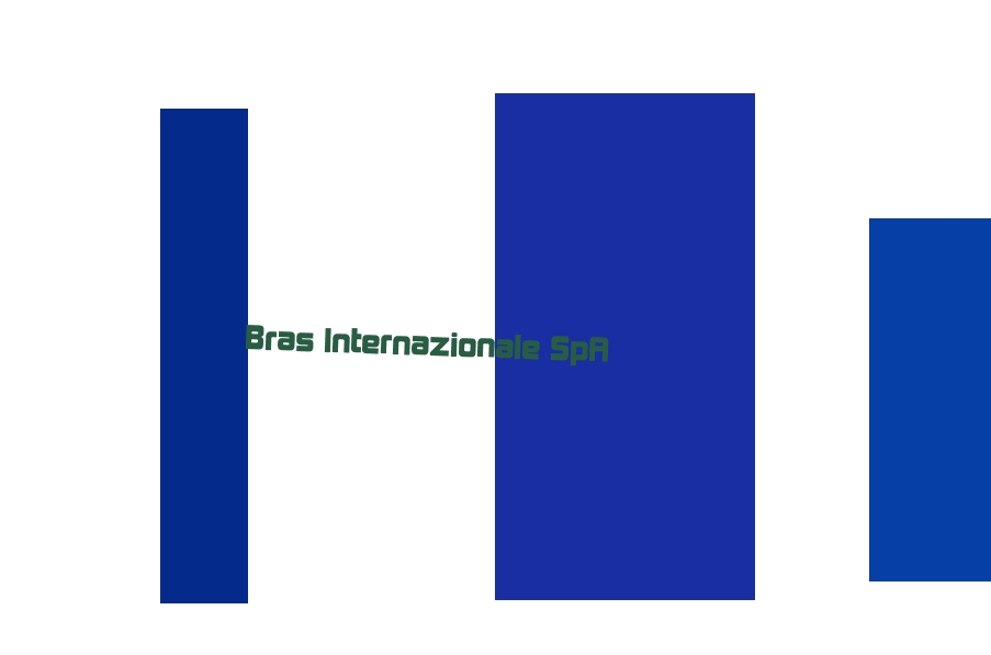 logo Bras Internazionale SpA