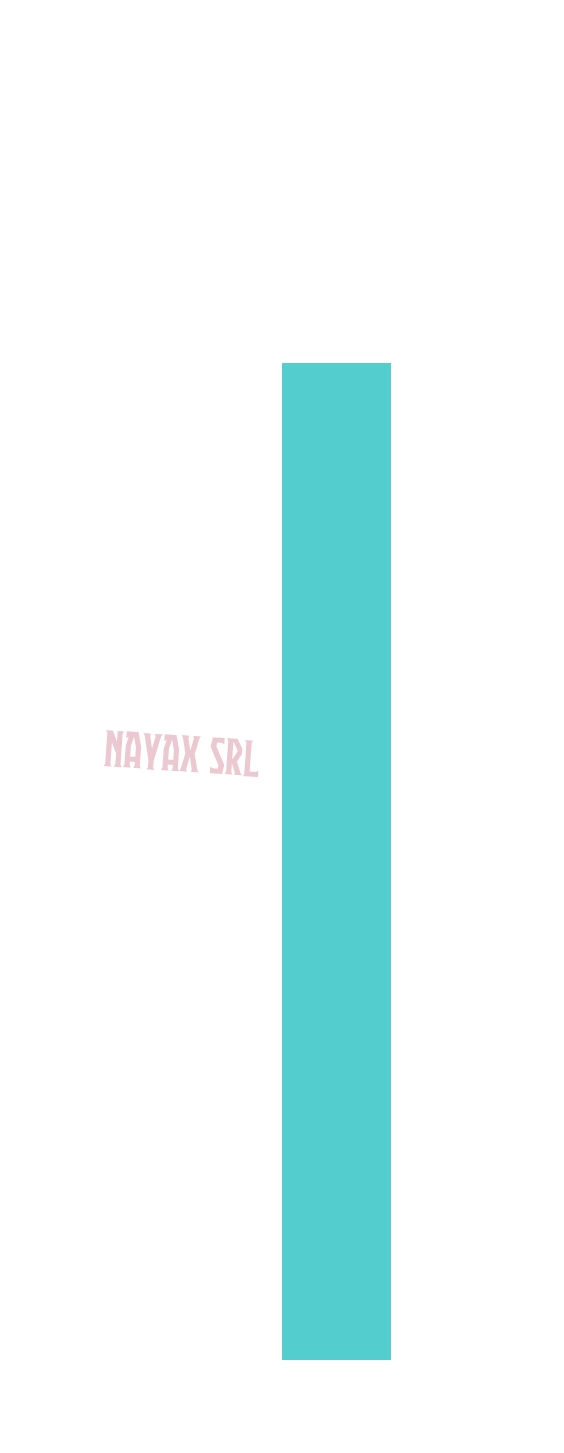 logo Nayax Srl