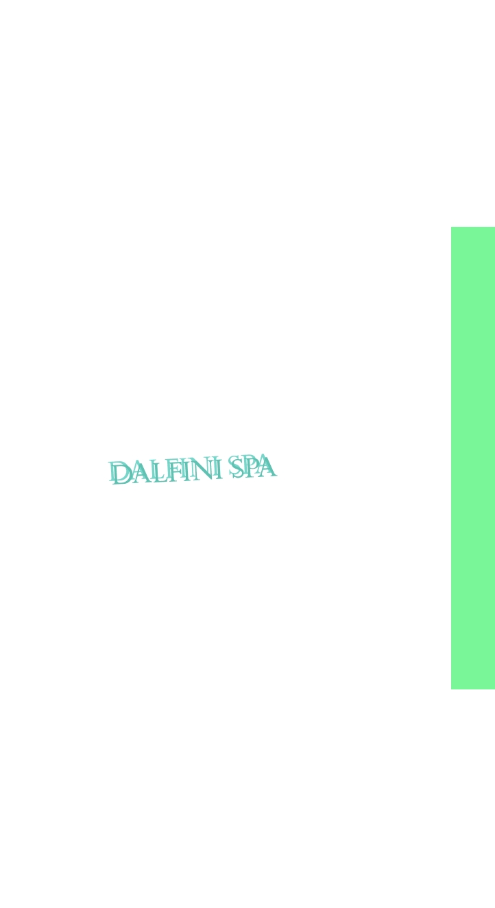 logo Dalfini SpA