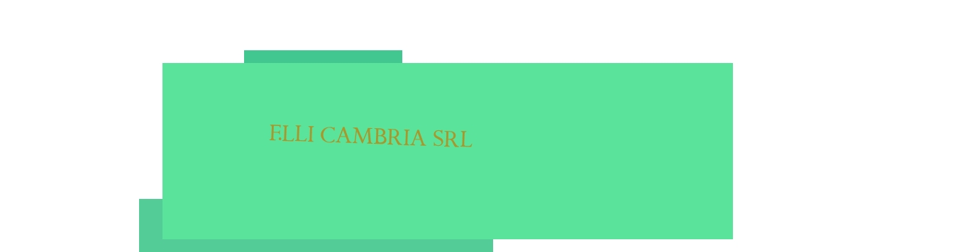 logo F.lli Cambria Srl