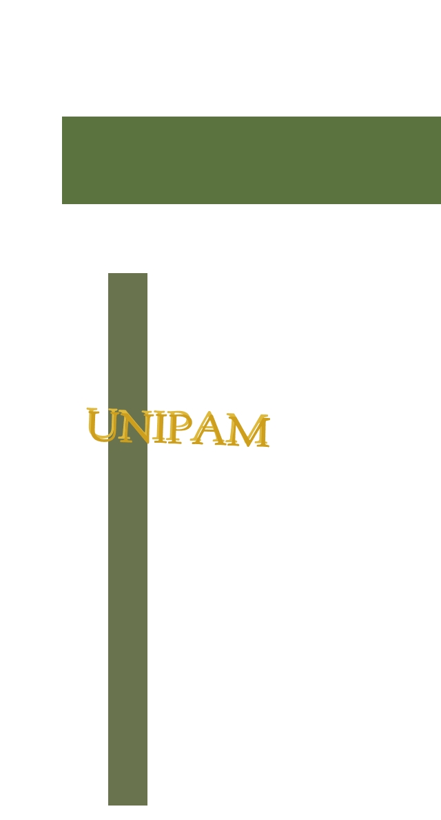 logo Unipam