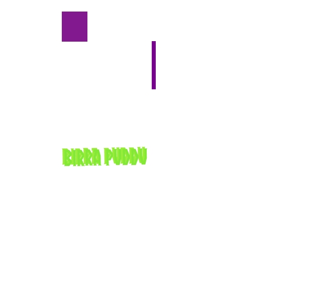 logo Birra Puddu