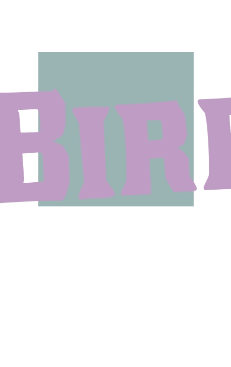 logo Birrificio Viadanese